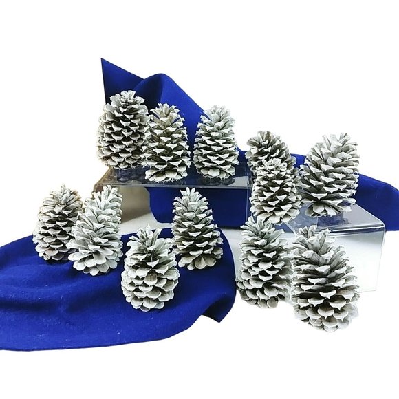Pinecones Home Decor Crafting Pkg of 12 Handcrafted by Collins Creek Collections - Picture 1 of 8
